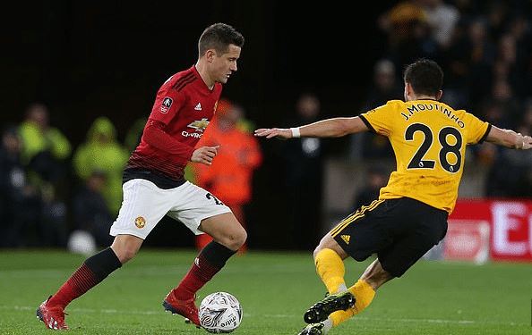 良好的草皮 良好的草皮